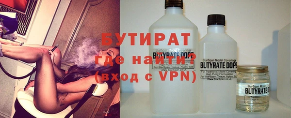 индика Дмитриев