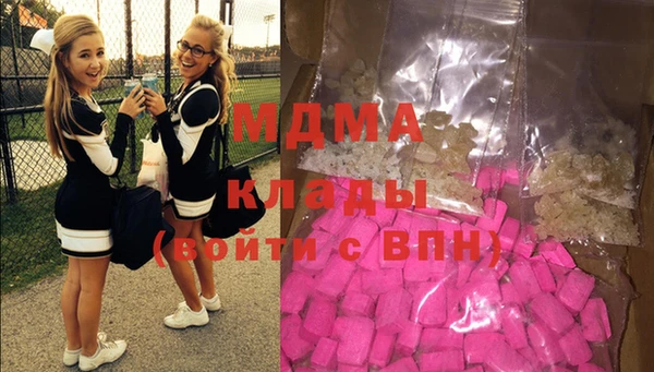 индика Дмитриев