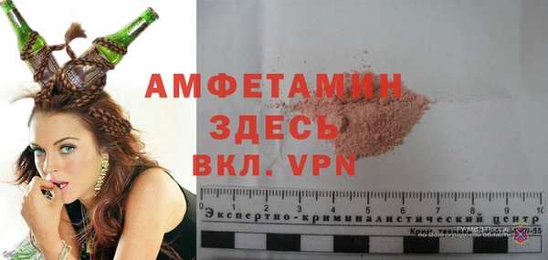 индика Дмитриев