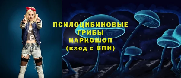 индика Дмитриев