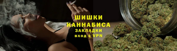 соль ск Дмитровск