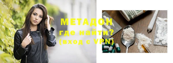 индика Дмитриев