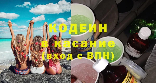 индика Дмитриев