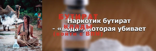 индика Дмитриев