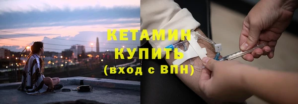 индика Дмитриев