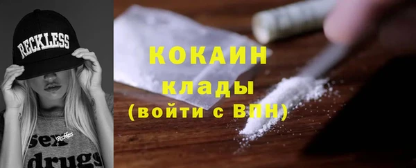 индика Дмитриев