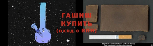 индика Дмитриев