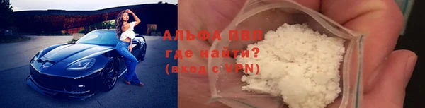 индика Дмитриев