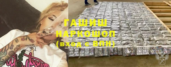 индика Дмитриев