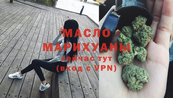 индика Дмитриев