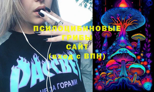 соль ск Дмитровск