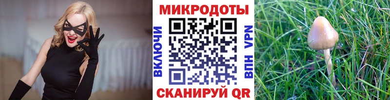 Галлюциногенные грибы прущие грибы  Купить закладки  Новый Уренгой 